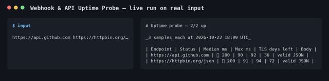 Webhook & API Uptime Probe sample output