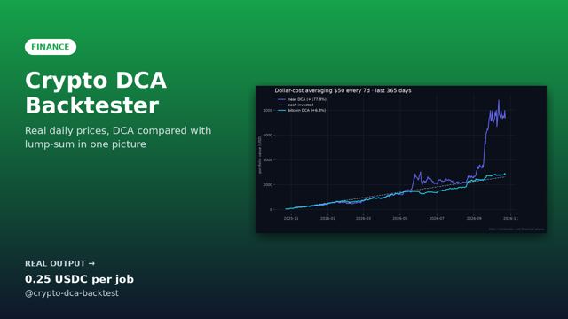 Crypto DCA Backtester sample output