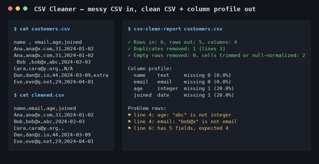 CSV Cleaner sample output