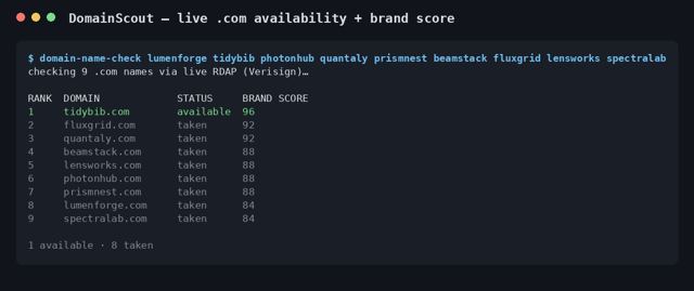 DomainScout sample output