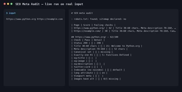 SEO Meta Audit sample output